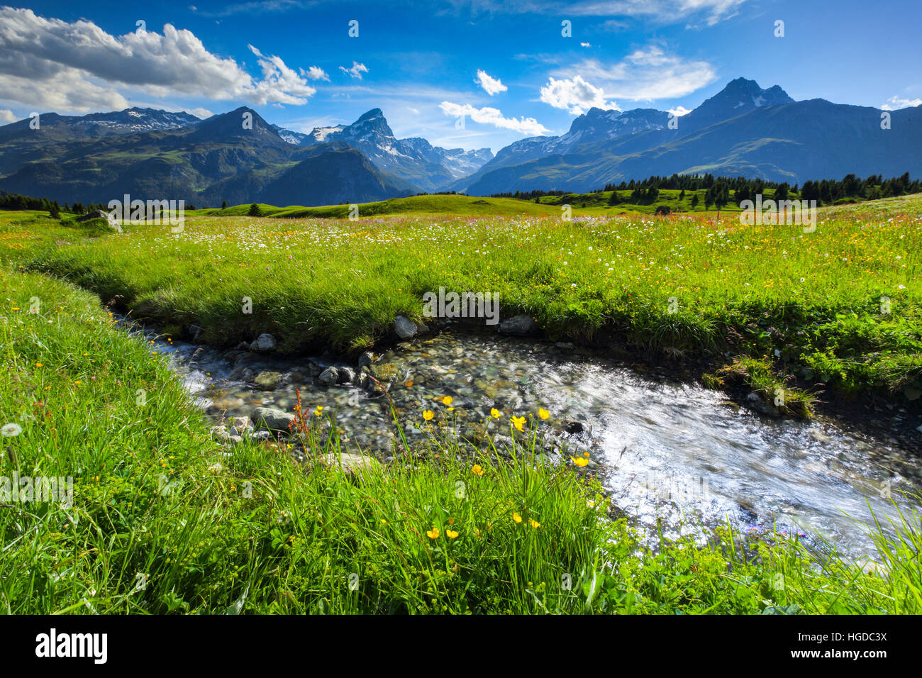 L'Alp Flix, Grisons, Suisse Banque D'Images