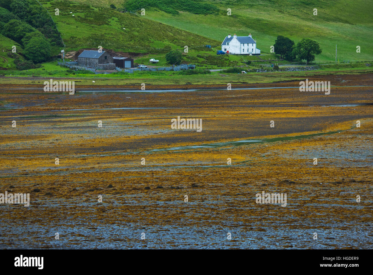 L'archipel des Hébrides, Ecosse, île de Skye, Talisker Banque D'Images