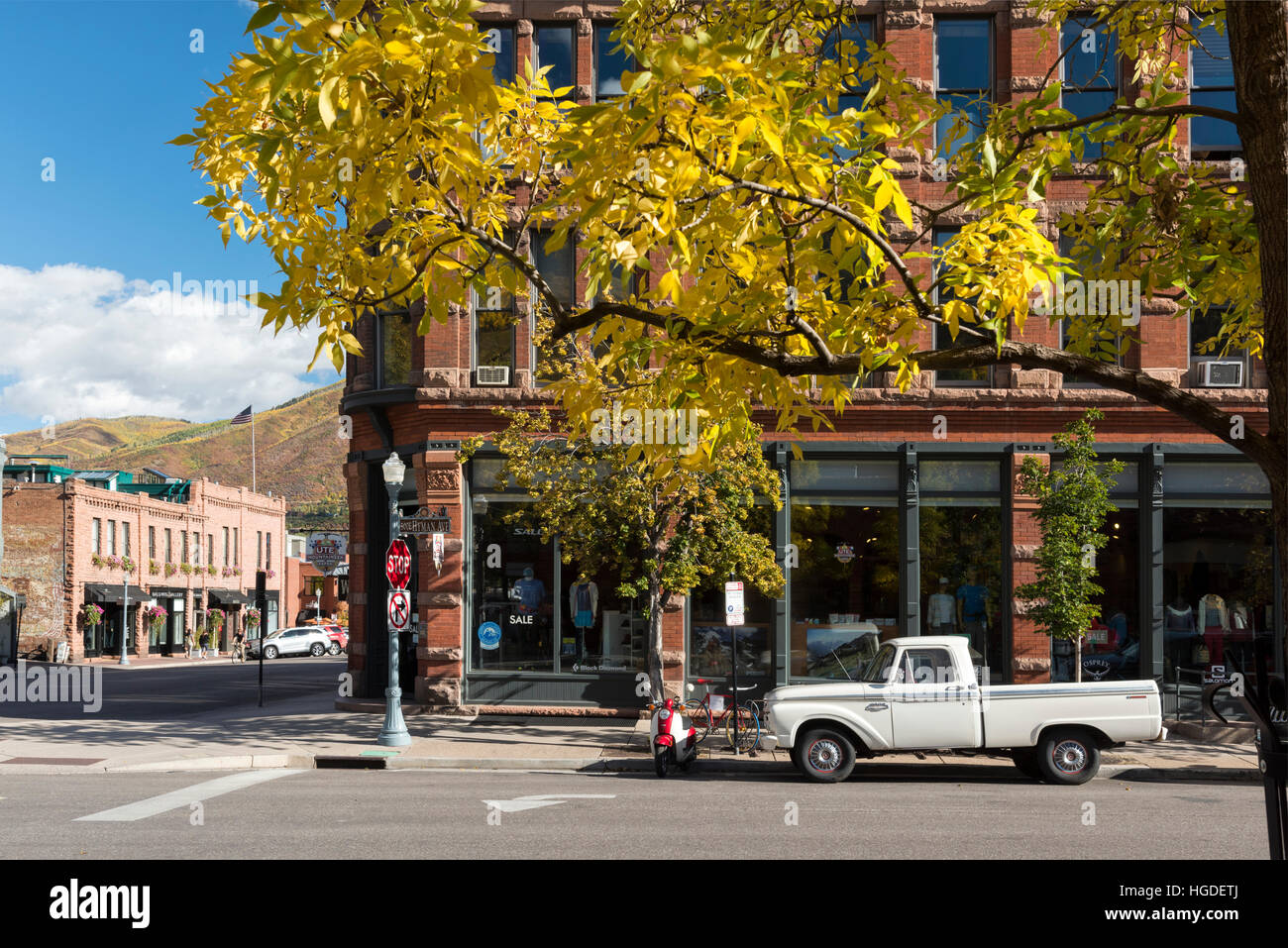 Colorado Rockies, centre-ville, le tremble, le peuplier faux-tremble Banque D'Images