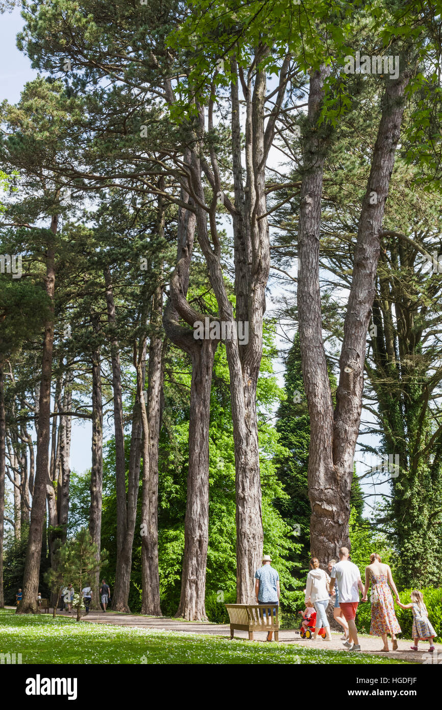 Pays de Galles, Cardiff, St Fagan's, Musée de la vie galloise, les touristes en se promenant dans les bois Banque D'Images