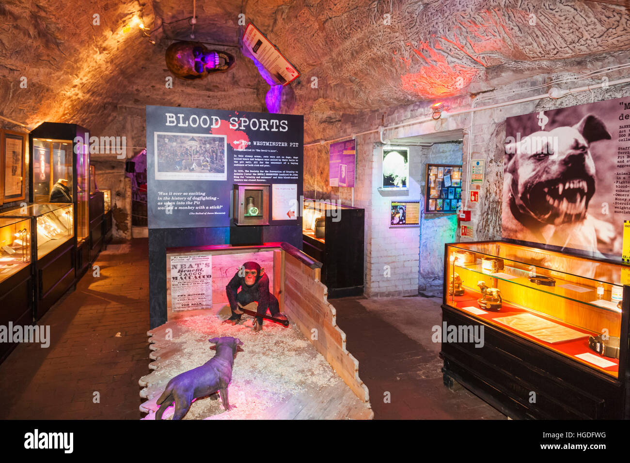 L'Angleterre, l'East Sussex, Hastings, le crime véritable musée, vue intérieure Banque D'Images