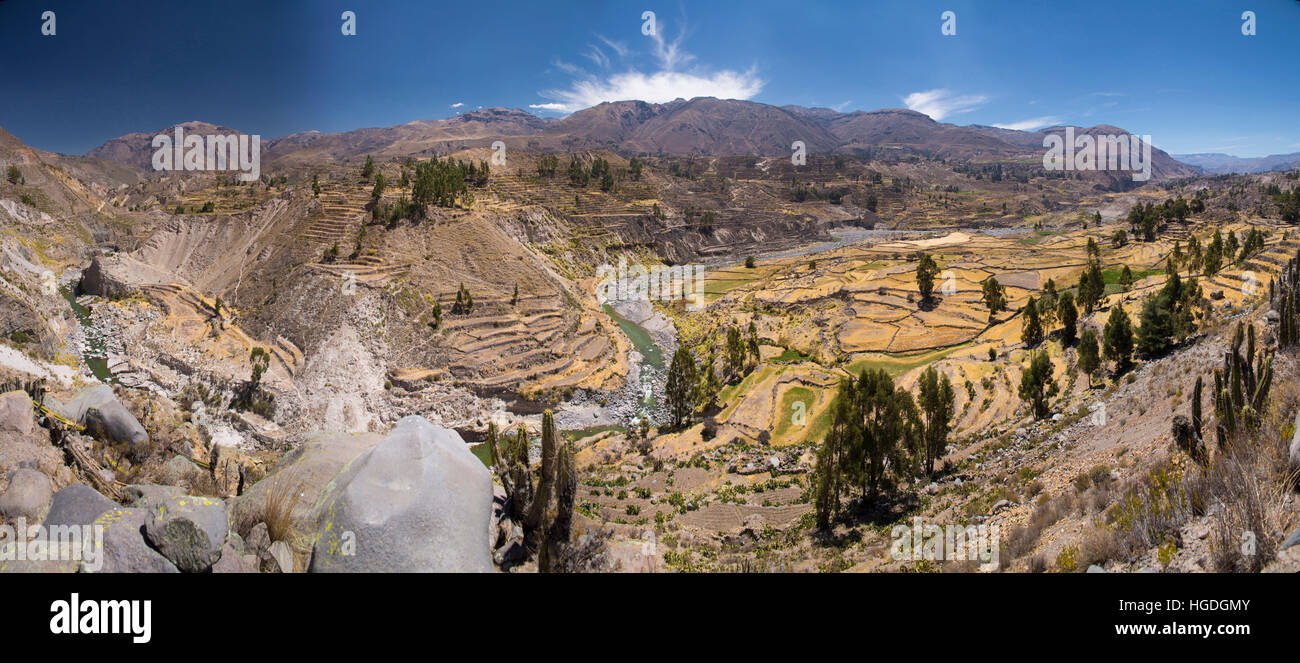 Canyon de Colca, Banque D'Images