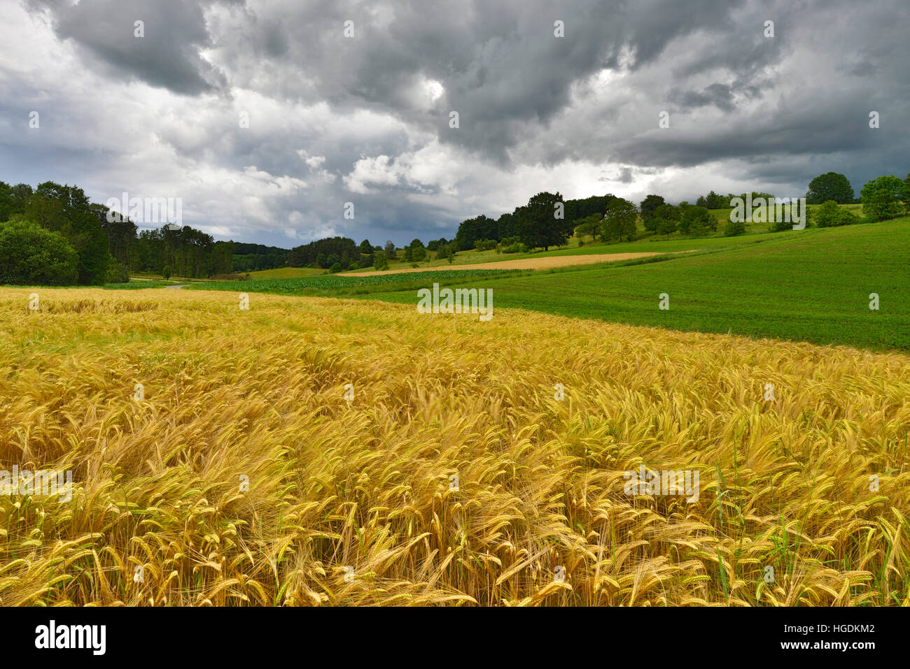 Le paysage culturel, dans un champ avec le vent du sud, ciel nuageux, Burgenland, Autriche Banque D'Images