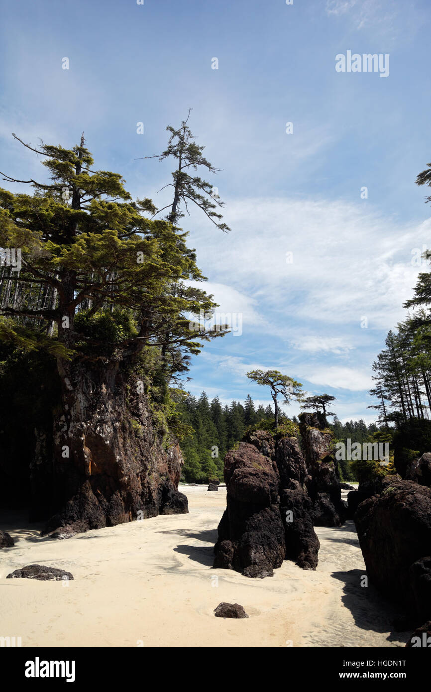 Plage de sable blanc et de mer rocheux Cheminées, baie San Josef, parc provincial de Cape Scott, l'île de Vancouver, Canada Banque D'Images