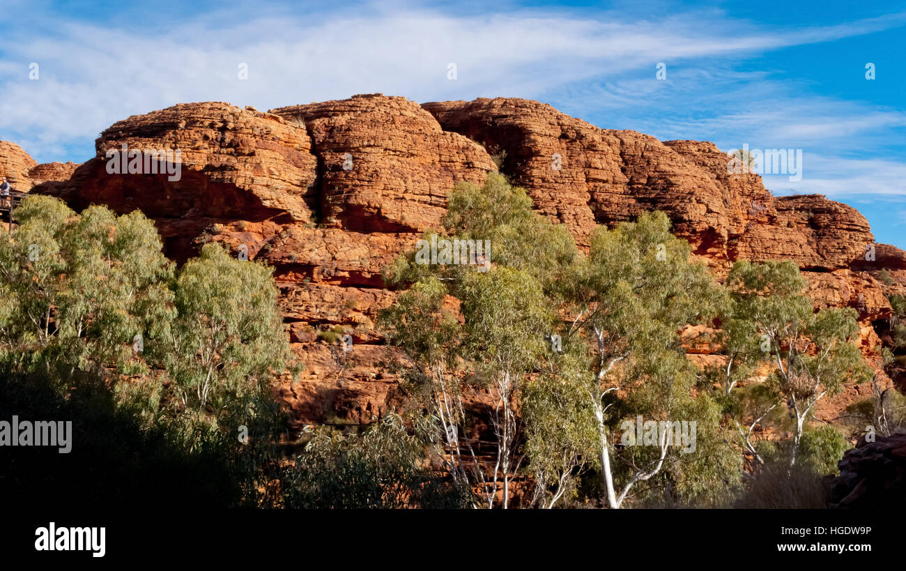 Kings Canyon paysage, Territoire du Nord, Australie Banque D'Images