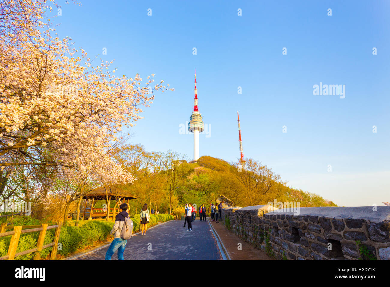 Les touristes de montagne escalade randonnée chemin de Namsan N Séoul tour bordée de vieux mur de ville et de belles fleurs de cerisier en fleurs Banque D'Images