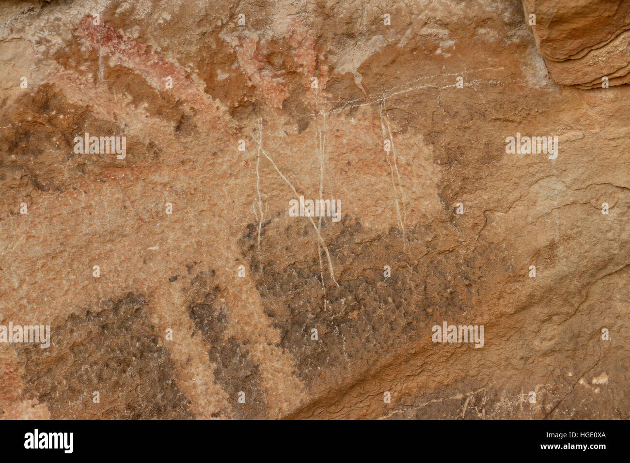 Vandalisme Dommages sur les rochers de grès de pétroglyphes Dinosaur National Monument Utah Banque D'Images