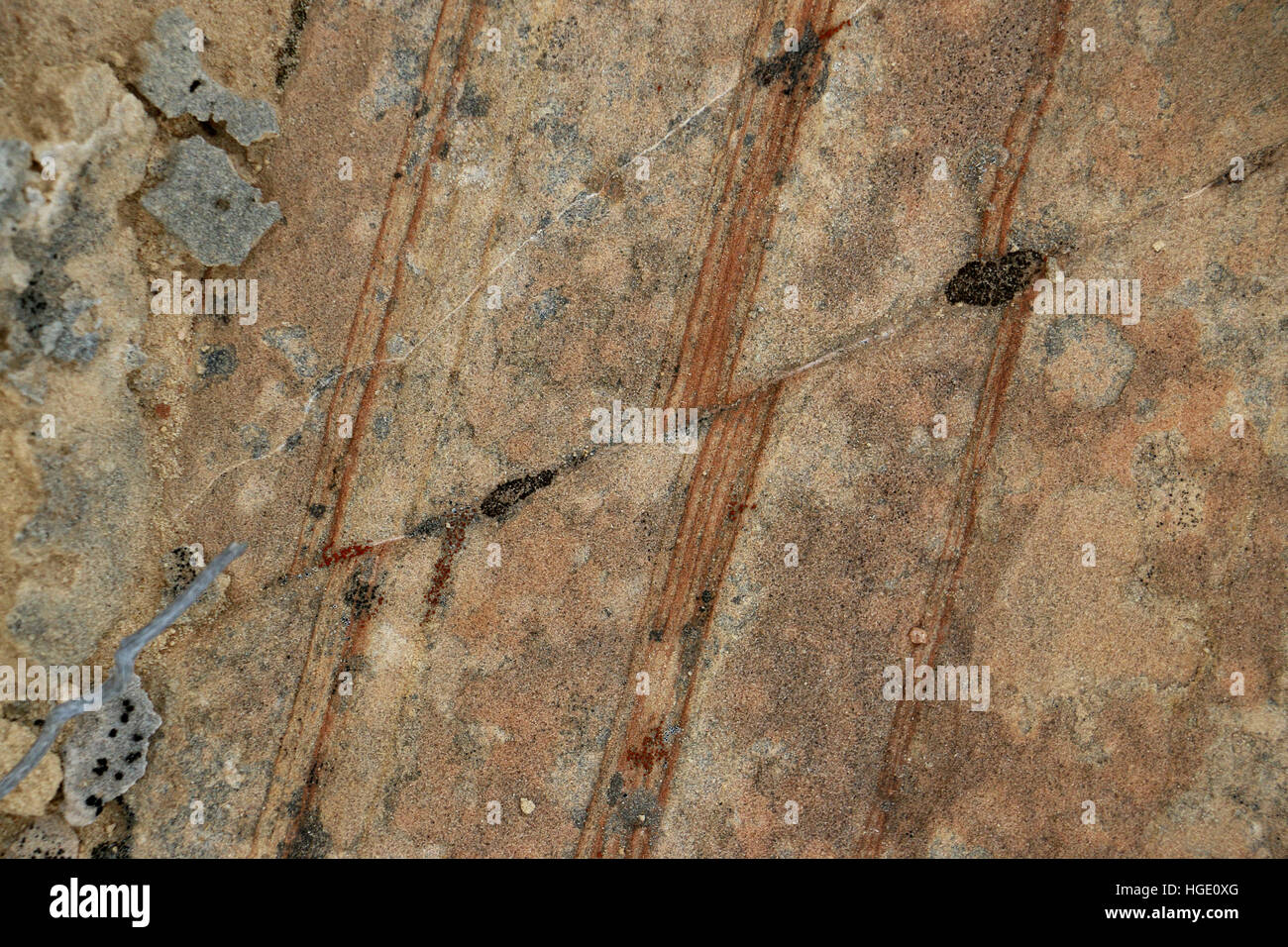 La ligne de défaut couche inclinée Rock Dinosaur National Monument Utah Banque D'Images
