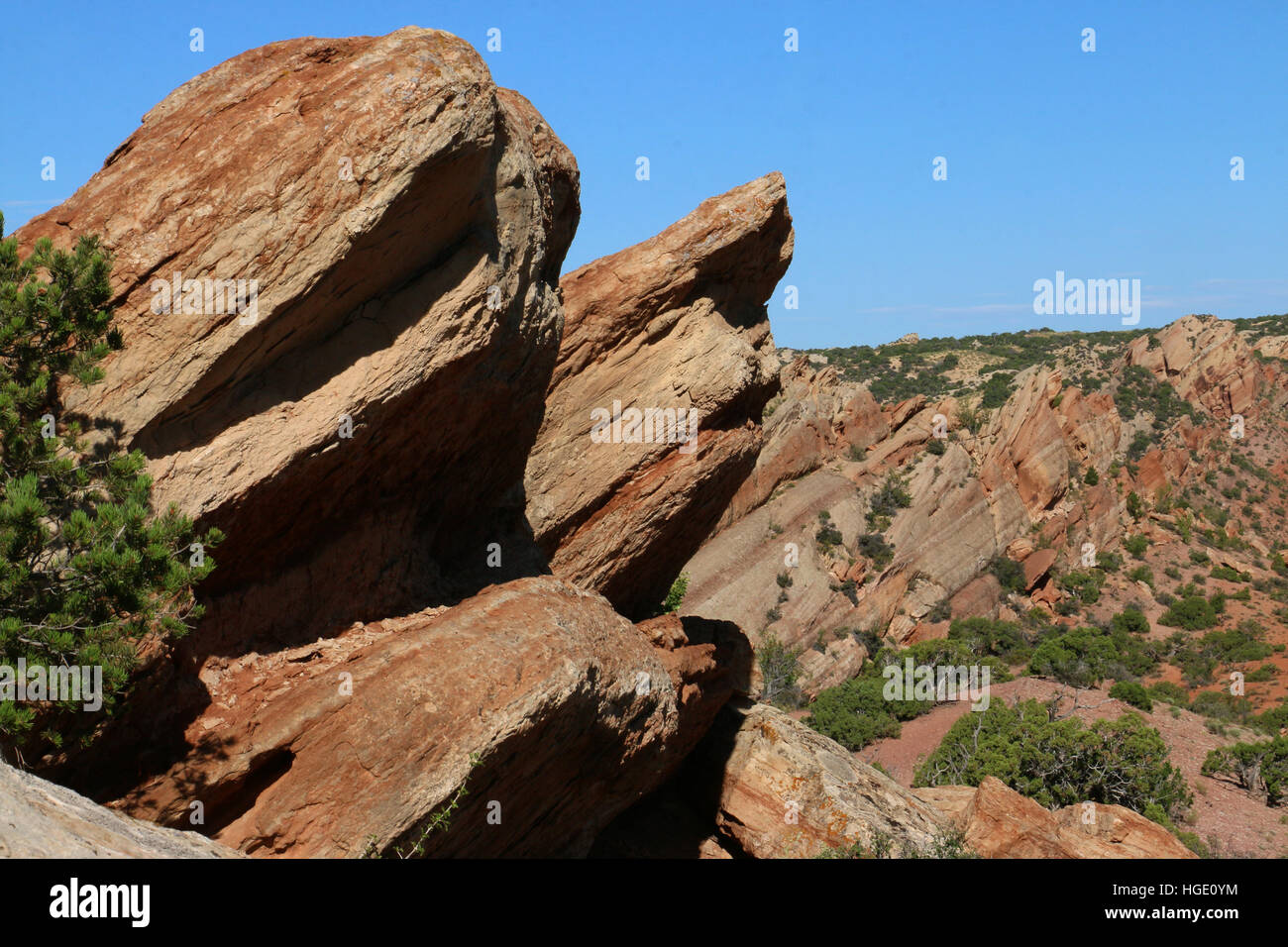 Les couches rocheuses inclinées Dinosaur National Monument Utah Banque D'Images