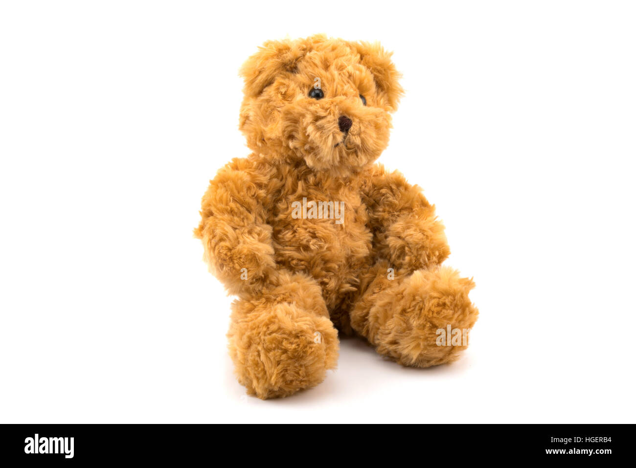 Mignon ours assis sur fond blanc Banque D'Images