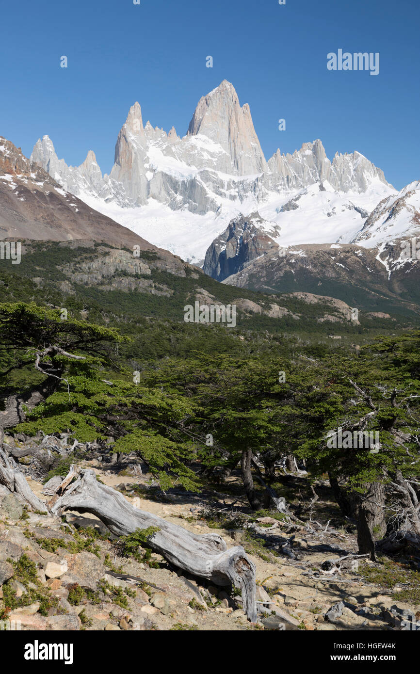 Vue sur le Mont Fitz Roy sur Laguna de los Tres trail, El Chalten, Patagonie, Argentine, Amérique du Sud Banque D'Images