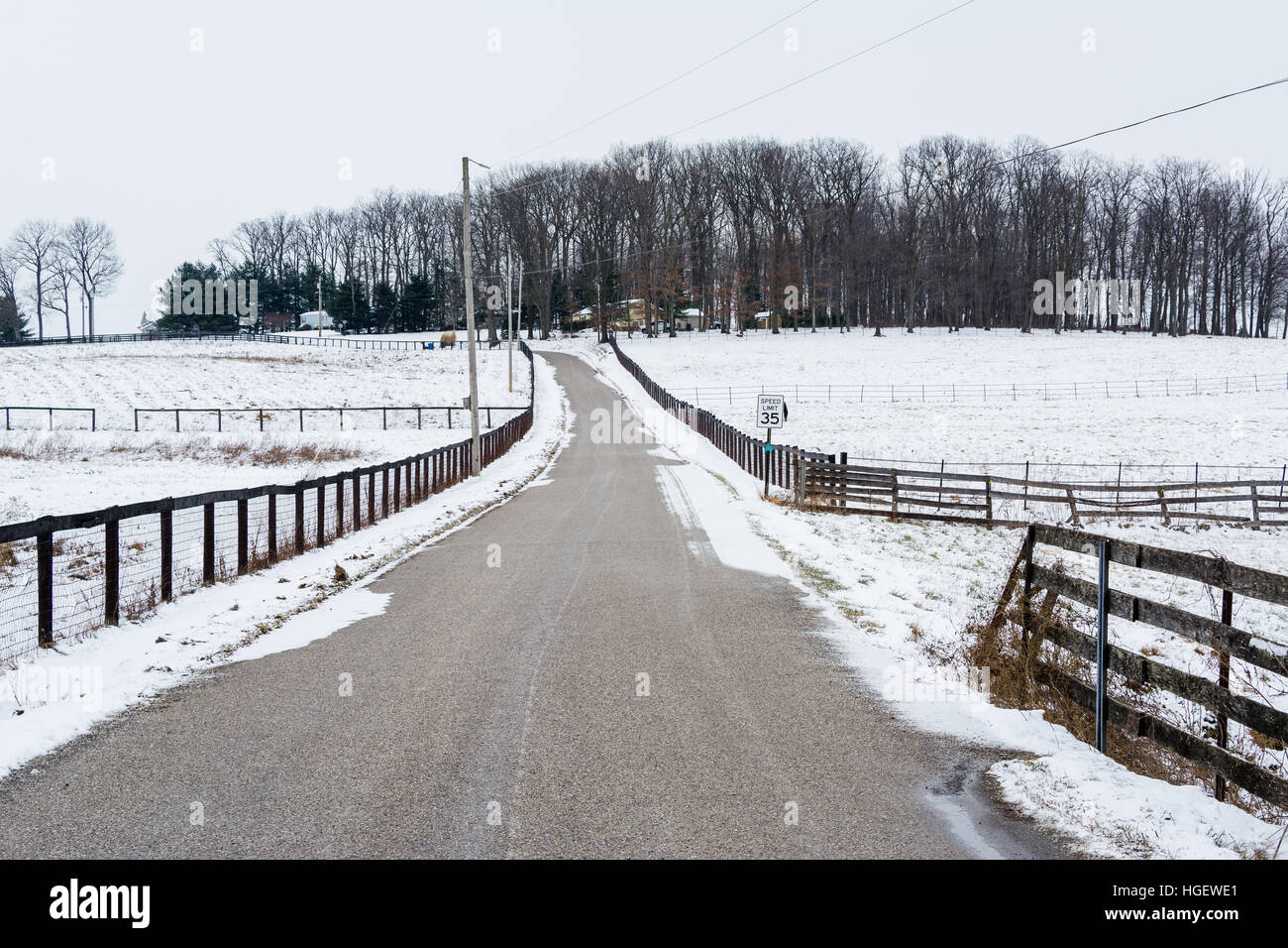 La route et les champs couverts de neige, près de nouvelle liberté, en Pennsylvanie. Banque D'Images