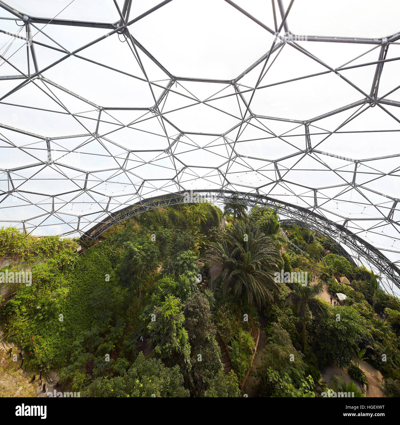 Cadres et coussins d'EFTE hexagonale. Eden Project, Bodelva, Royaume-Uni. Architecte : Grimshaw, 2016. Banque D'Images