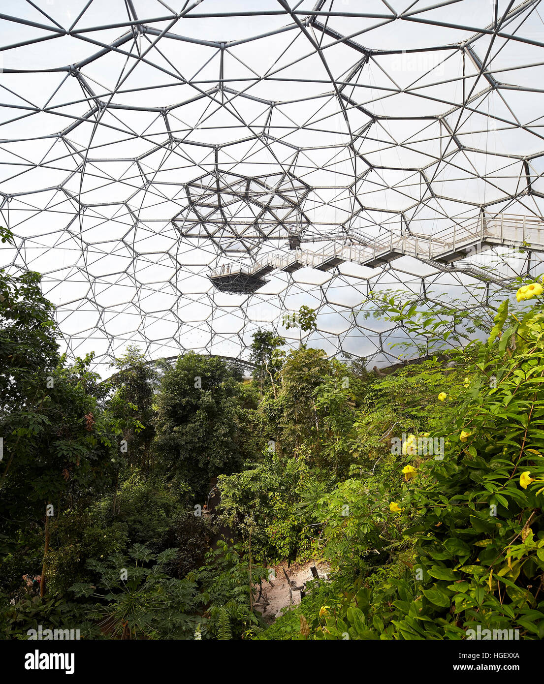 Plate-forme d'observation et le toit de biome structurwe. Eden Project, Bodelva, Royaume-Uni. Architecte : Grimshaw, 2016. Banque D'Images