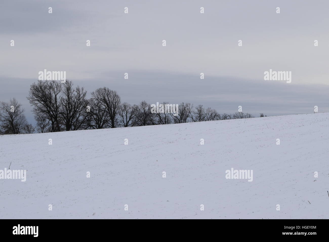 Ciel gris sur une journée d'hiver démontrant une ligne fine entre l'ombre et la lumière. Banque D'Images