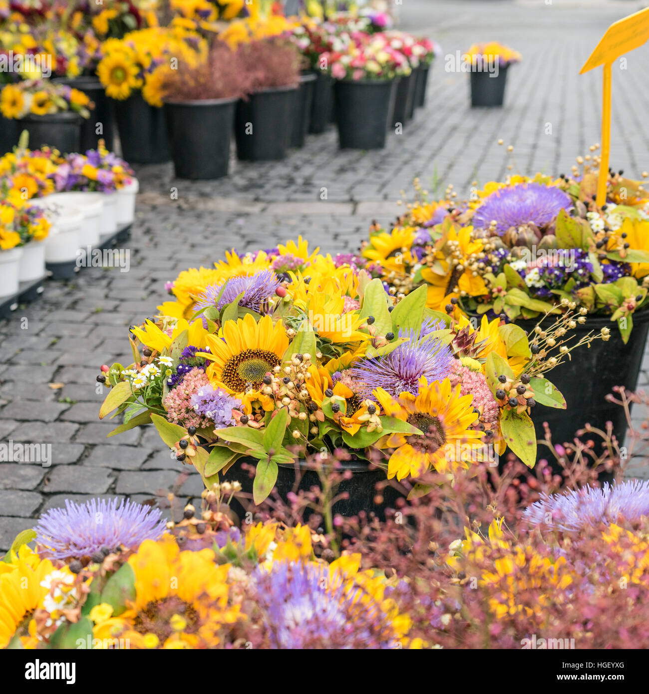 Stand du marché avec des bouquets d'automne Banque D'Images