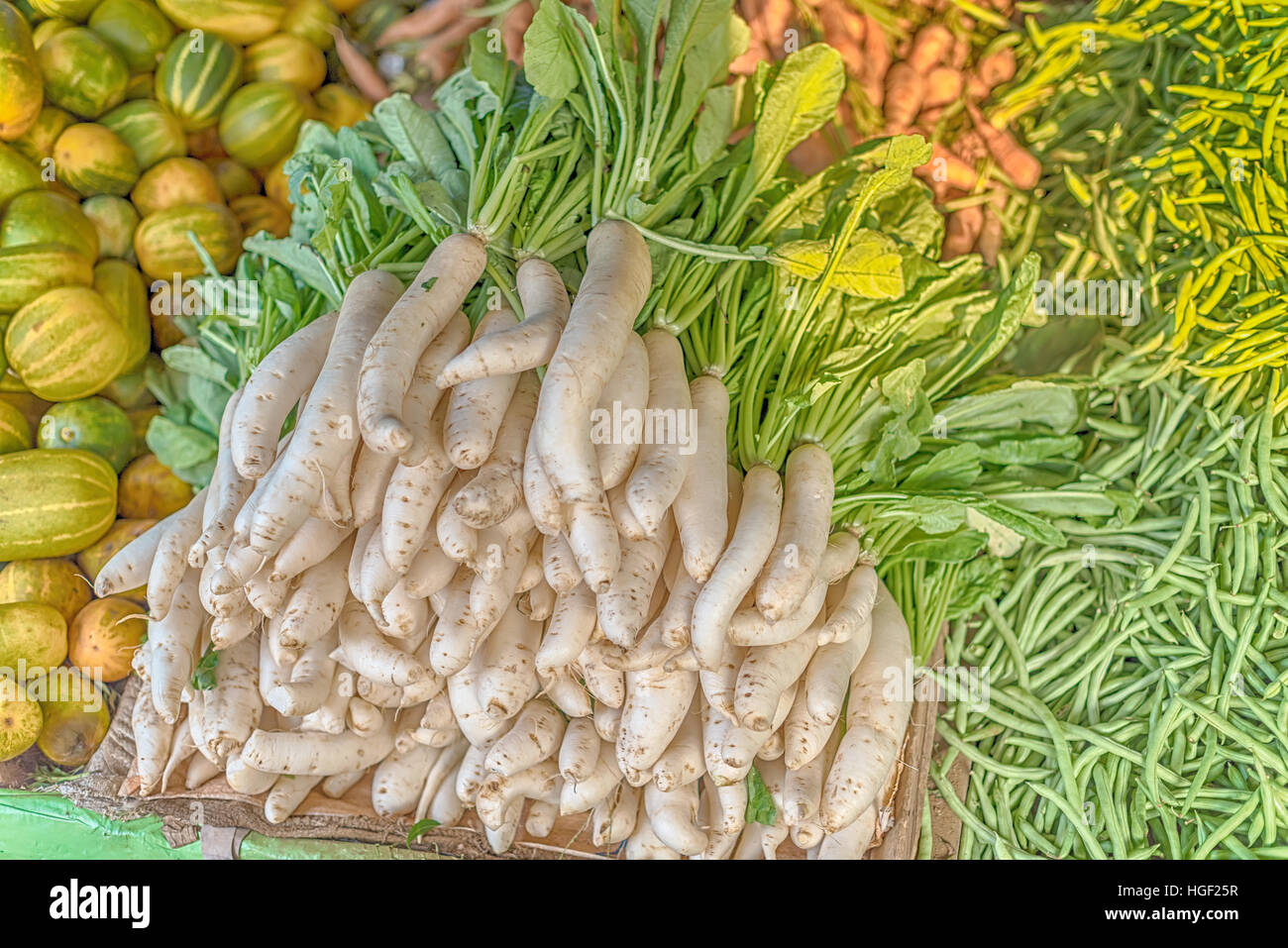 Radis, radis blanc, Raphanus sativus dans le marché Banque D'Images