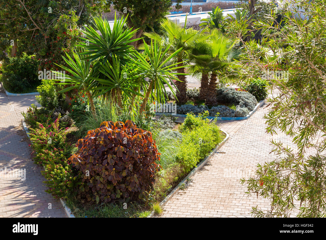 Petit parc devant une mosquée à Sidi Ifni. Sud-ouest du Maroc. Banque D'Images