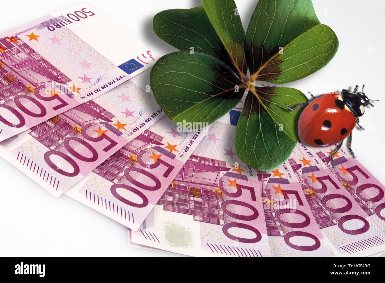 Trèfle à 4 feuilles et coccinelle Banque de photographies et d’images à haute résolution Alamy