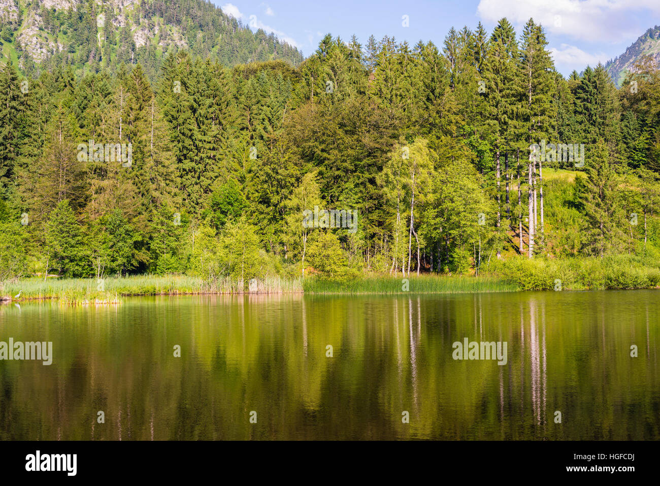 Petit lac près de Oberstdorf, Bavière Banque D'Images