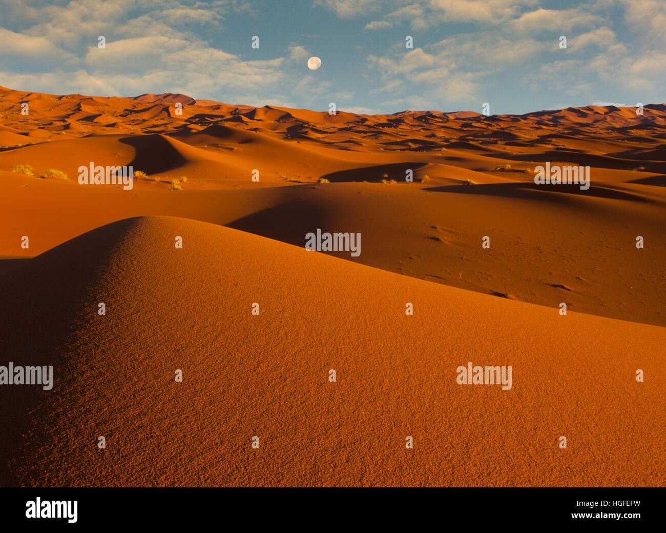 Tôt le matin sur l'Erg Chebbi Dunes Sahara Maroc Afrique du Nord Mars Banque D'Images