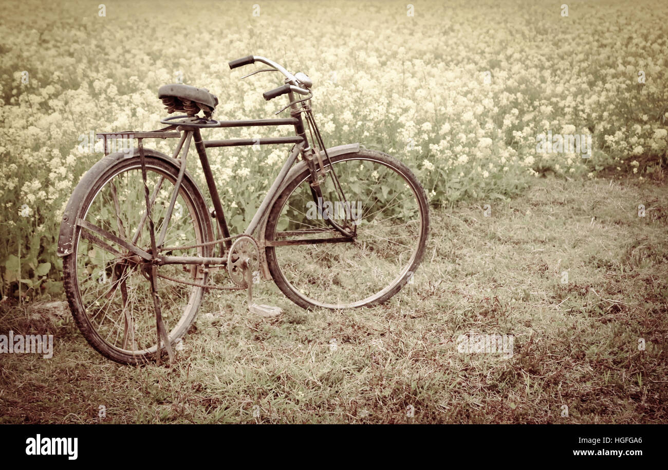 Vintage Bicycle à côté d'un champ de moutarde rural au Bangladesh Banque D'Images