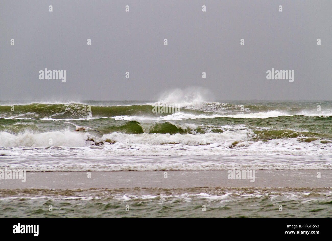 Surfe sur la plage un jour froid et gris winters Banque D'Images