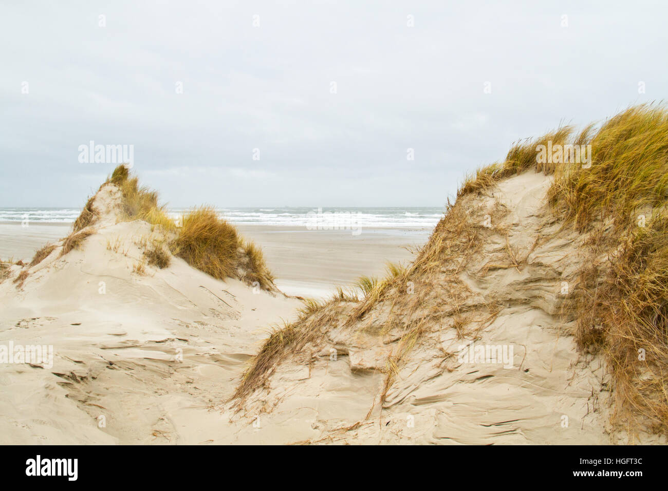 Vue sur plage et port entre deux dunes, cultivé avec l'ammophile, par un jour de vent en hiver Banque D'Images
