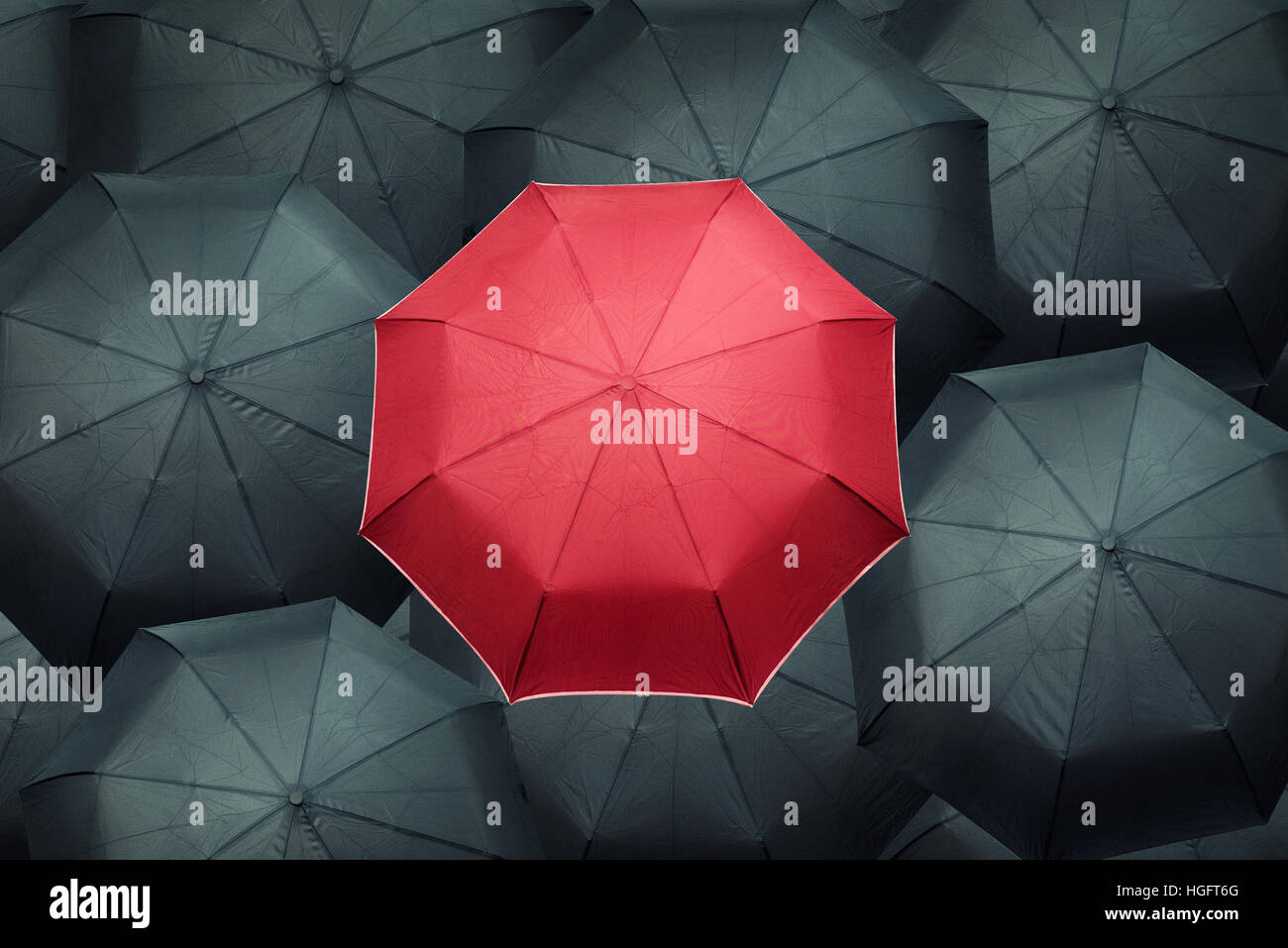 Parapluie rouge différents sur de nombreux parasols noir. Les dirigeants de l'entreprise concept. Banque D'Images