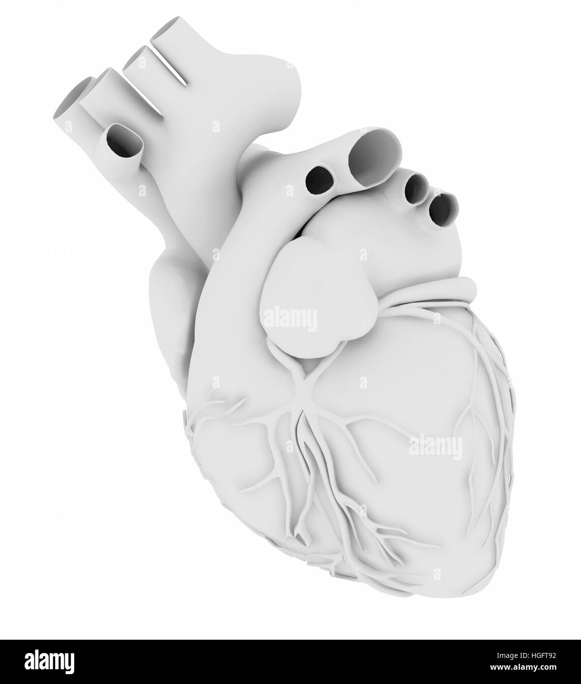 Cœur de l'homme blanc isolé sur fond blanc, 3d illustration Banque D'Images