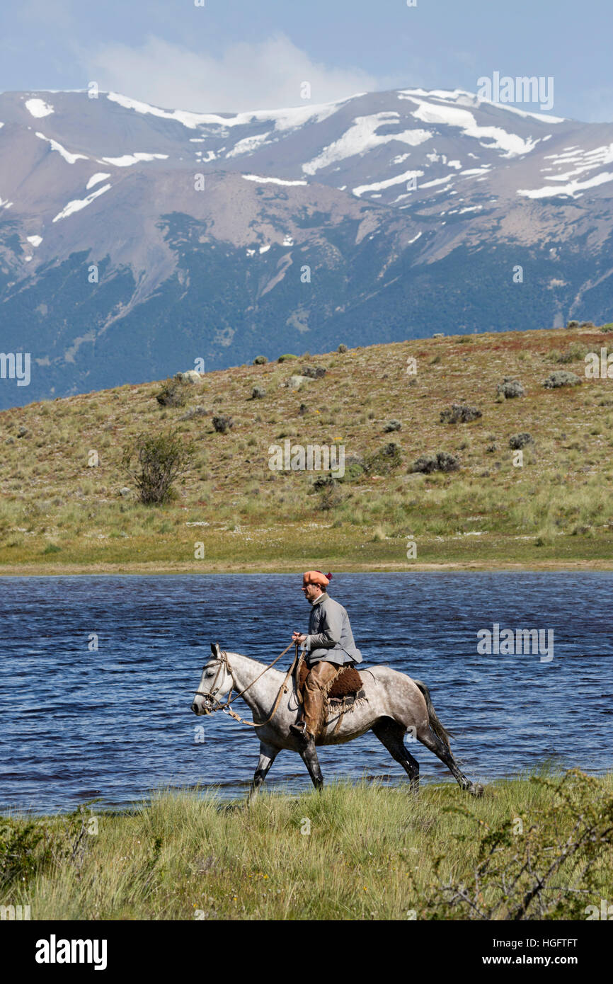Gaucho sur le cheval par le lac à l'Estancia Alta Vista, El Calafate, parc national Los Glaciares, Patagonie, Argentine, Amérique du Sud Banque D'Images