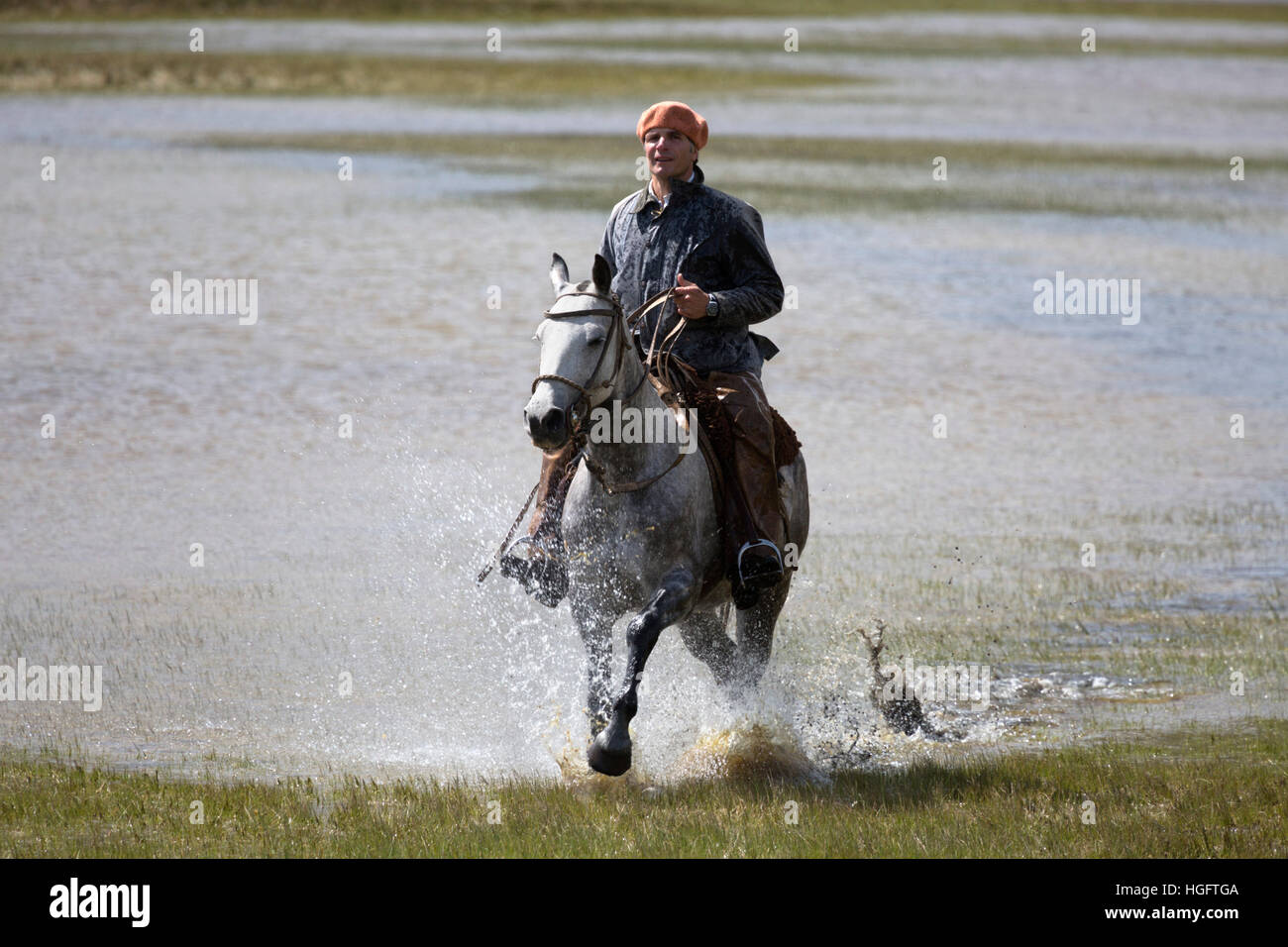 Gaucho à cheval galopant à travers lac à Estancia Alta Vista, El Calafate, parc national Los Glaciares, Patagonie, Argentine Banque D'Images