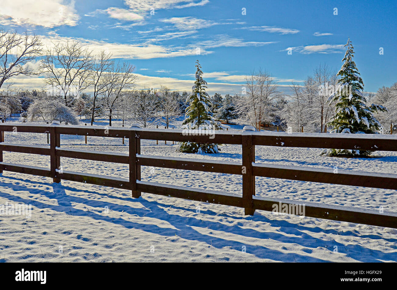 Un pâturage et clôtures dans la première neige de la saison. Banque D'Images