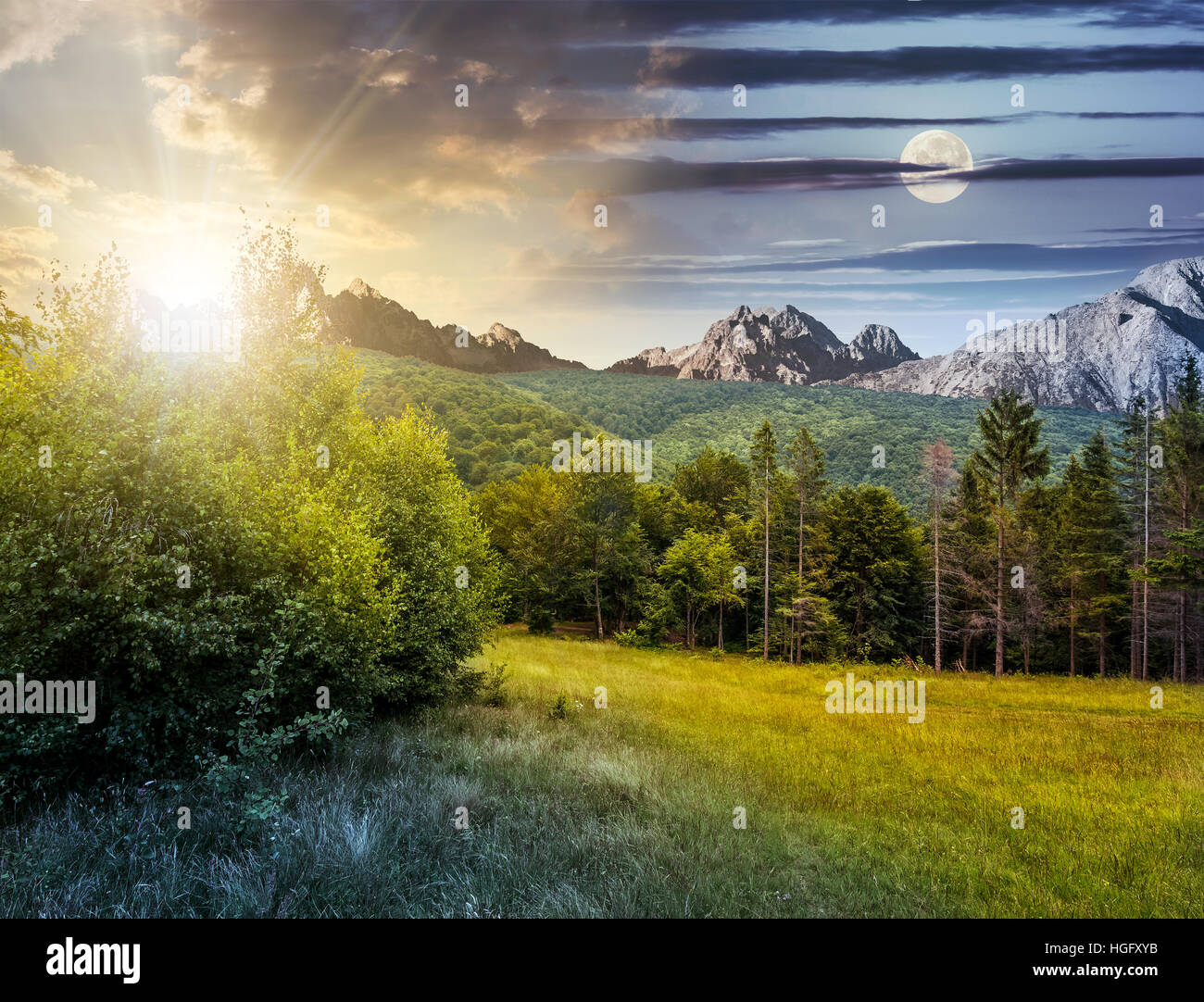 Jour et nuit, l'image composite avec forêt de sapins sur une prairie de Tatras Banque D'Images