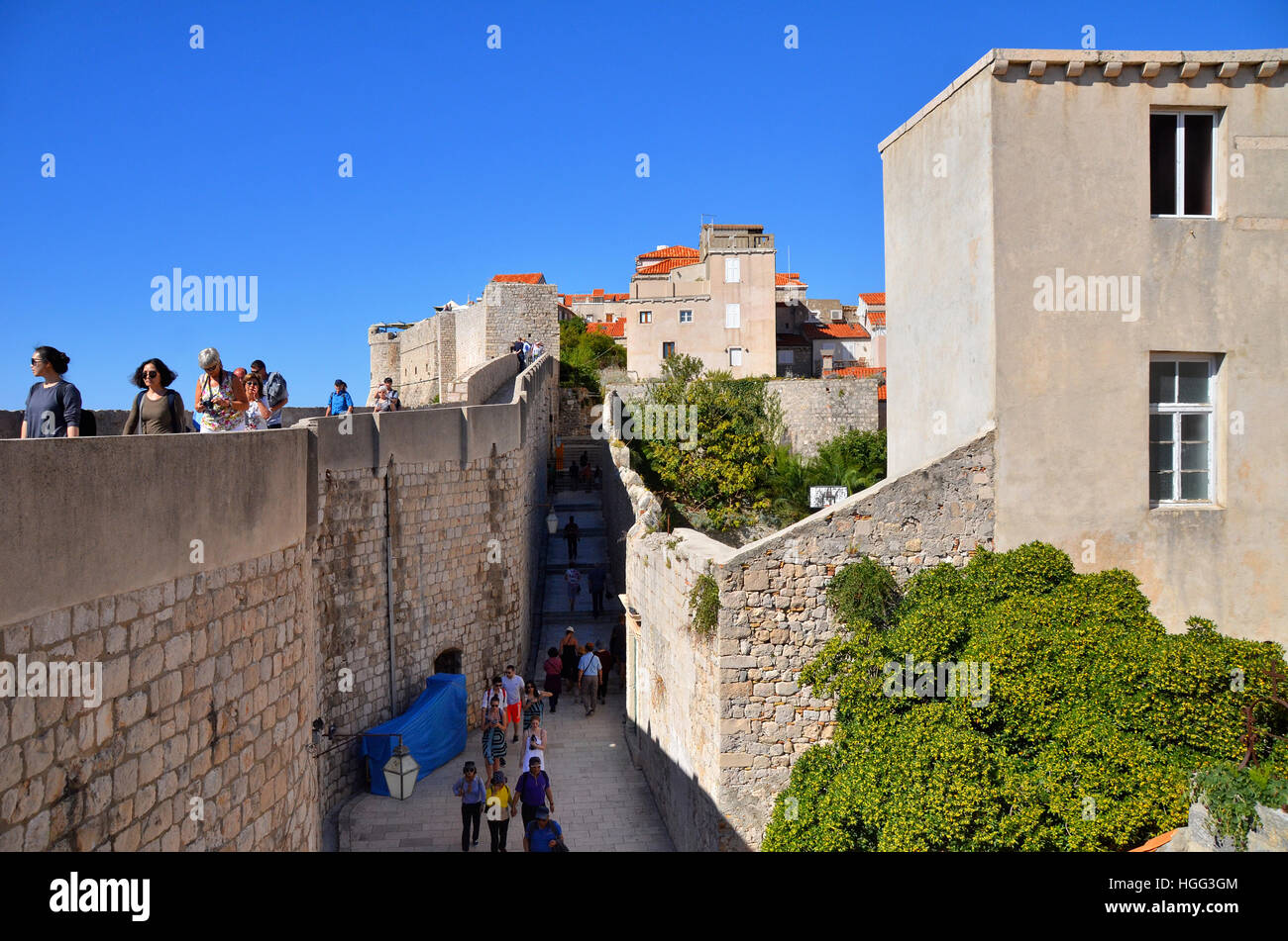 Les touristes à pied le long du mur de la ville fortifiée de Dubrovnik, Croatie. Banque D'Images