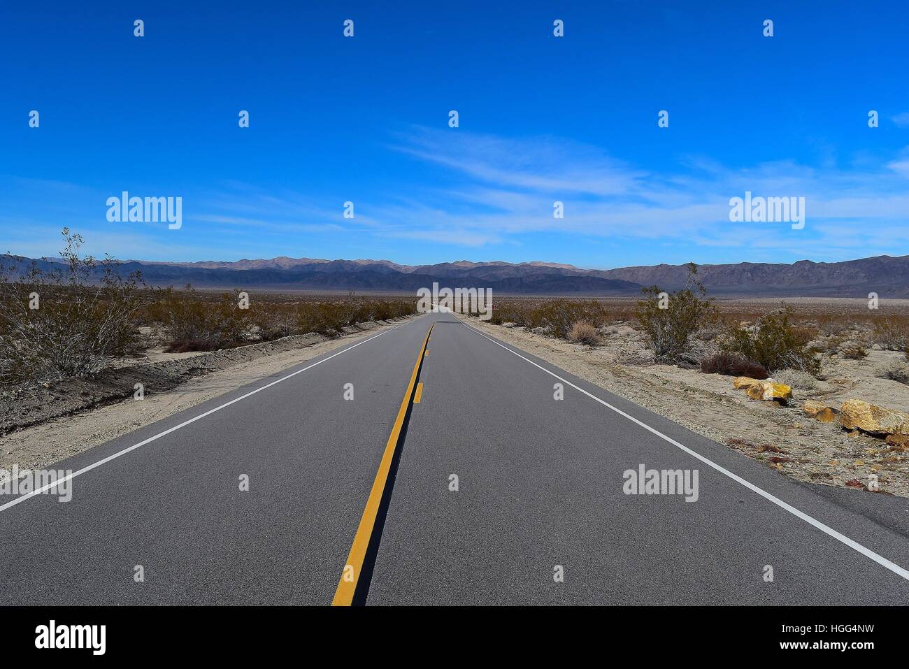 Vue sur le bassin, le bassin de Pinto Pinto Road, Joshua Tree National Park Banque D'Images