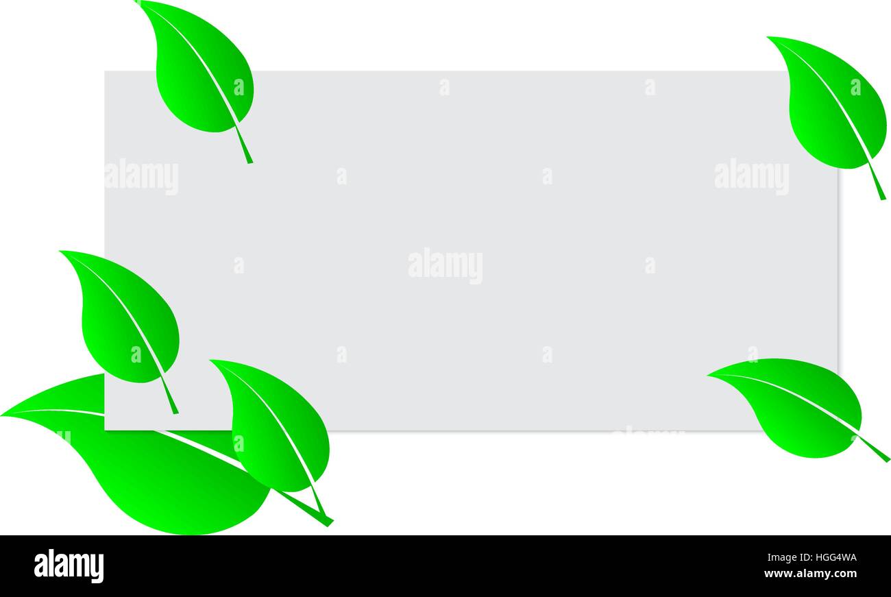 Feuilles blanches et vertes feuilles frais du printemps. Modèle de châssis. Vector Illustration Illustration de Vecteur Feuilles blanches et vertes feuilles frais du printemps. Modèle de châssis. Vector Illustration Illustration de Vecteur
