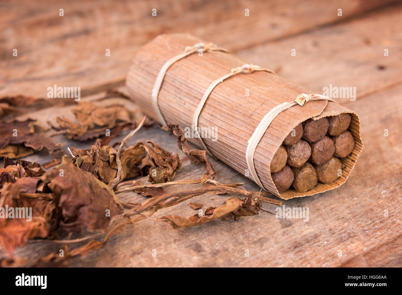 Gros plan d'une boîte de cigares faits main cubain, avec des feuilles de tabac séchées Banque D'Images