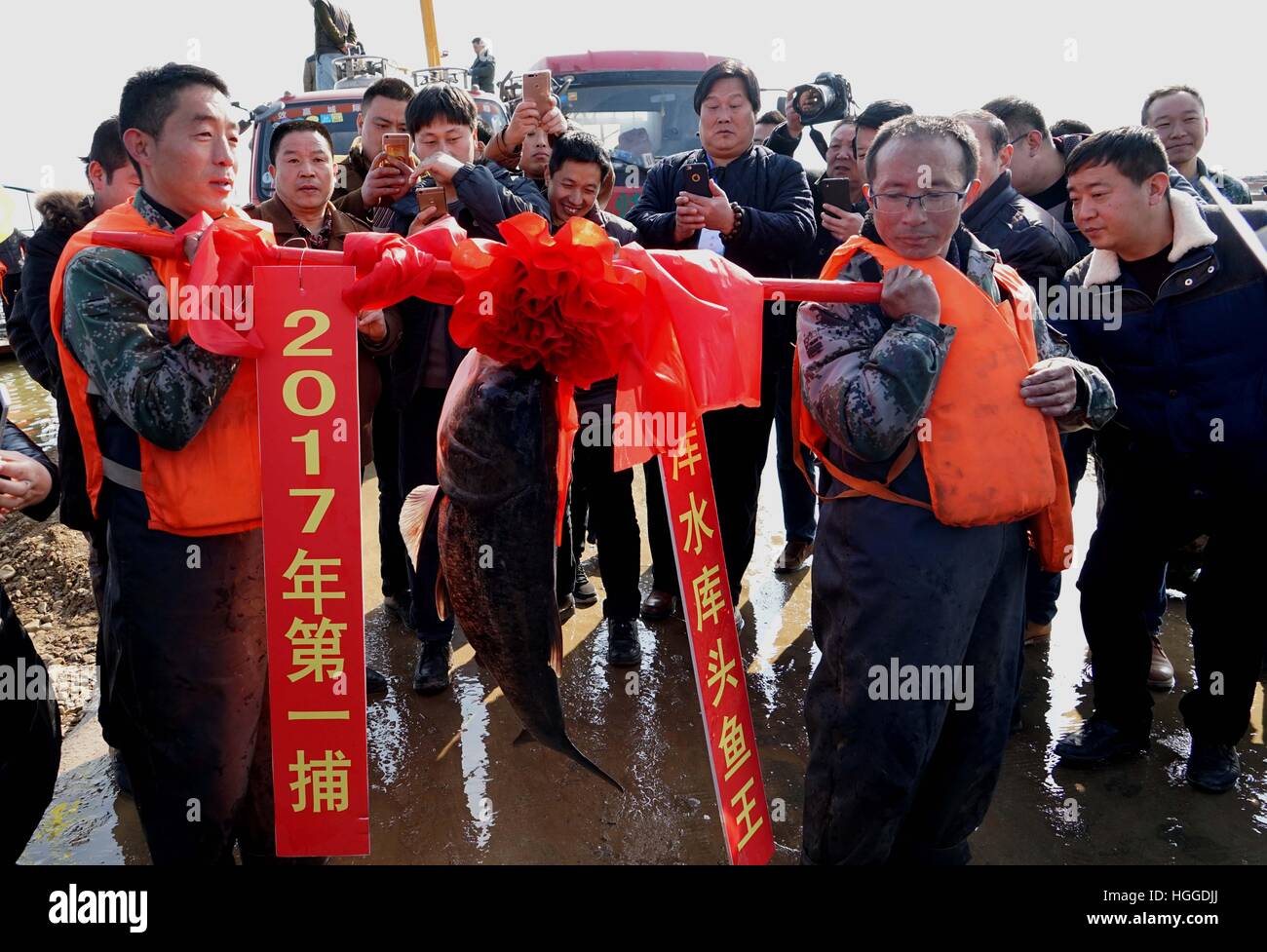 Zhengzhou. Jan 9, 2017. Les pêcheurs constituent les plus grands poissons qu'ils prennent à la réservoir Luhun dans Luoyang City central de la province de Henan en Chine, le 9 janvier 2017. © Li Un/Xinhua/Alamy Live News Banque D'Images