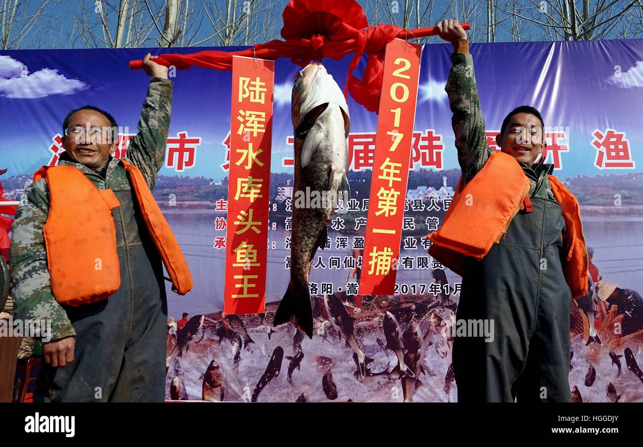 Zhengzhou. Jan 9, 2017. Les pêcheurs constituent les plus grands poissons qu'ils ont pris dans le réservoir Luhun dans Luoyang City central de la province de Henan en Chine, le 9 janvier 2017. © Li Un/Xinhua/Alamy Live News Banque D'Images