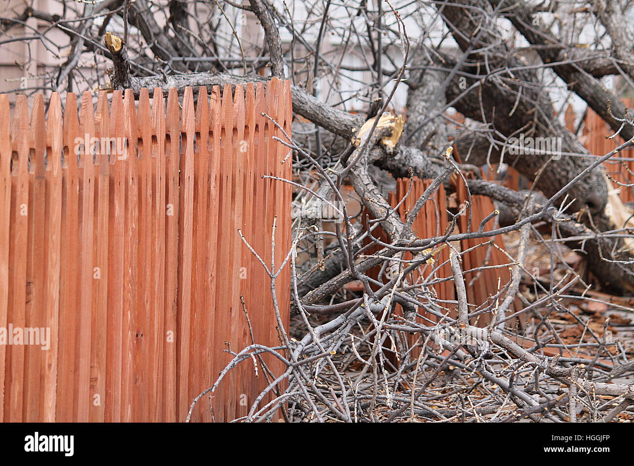 Dans le Colorado, aux Etats-Unis. Jan 9, 2017. Des vents destructeurs par détérioration Colorado Springs. Credit : Stefan Klein/Alamy Live News Banque D'Images