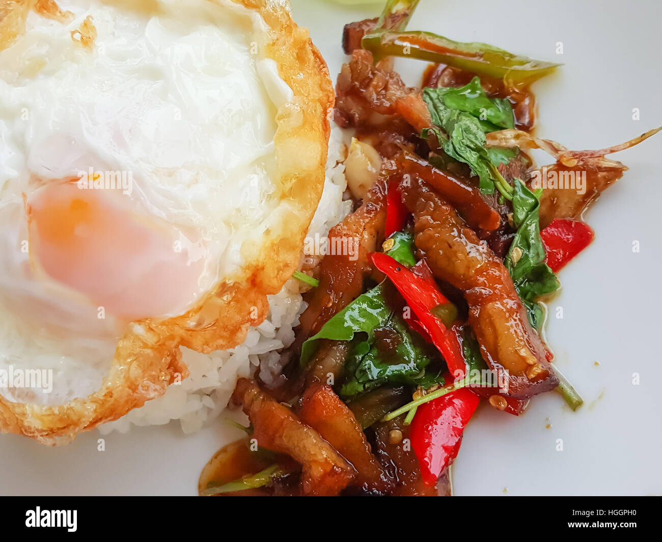 Close-up,Thai Food:basilic frit avec des oeufs porc croustillant Banque D'Images