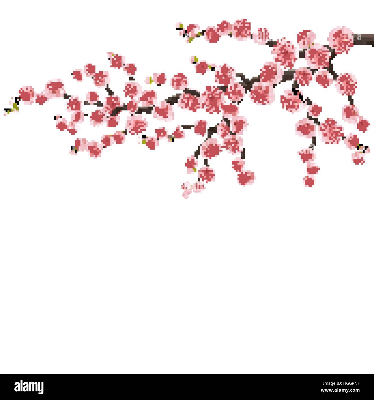 Branche d'un cerisier en fleurs. EPS 10 Illustration de Vecteur
