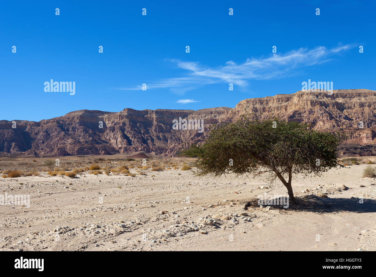Montagnes du désert avec ciel bleu en arrière-plan Banque D'Images