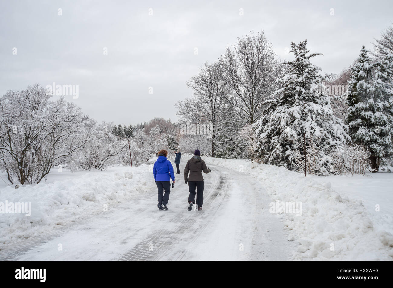 Montréal, CA - 4 janvier 2017 : Paysage de neige de l'hiver à Montréal, Québec (Jardin Botanique) Banque D'Images