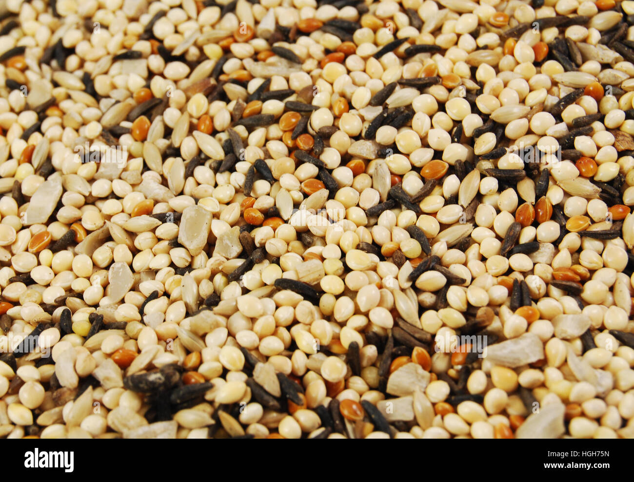 Des graines d'oiseaux Mixte - Millet et graines de chardon. Nourriture pour oiseaux en arrière-plan photo. Banque D'Images