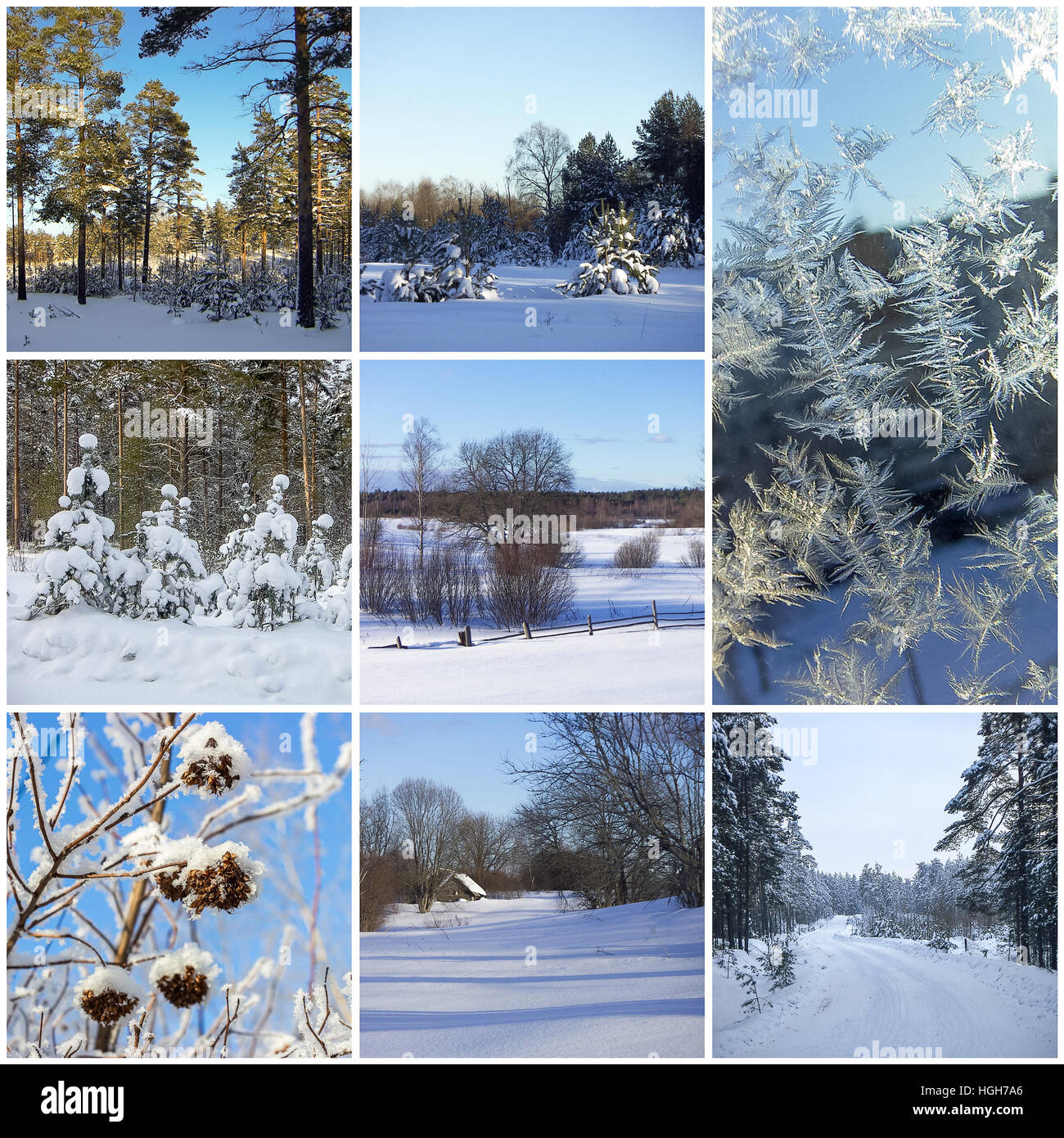 Collage d'hiver Banque D'Images