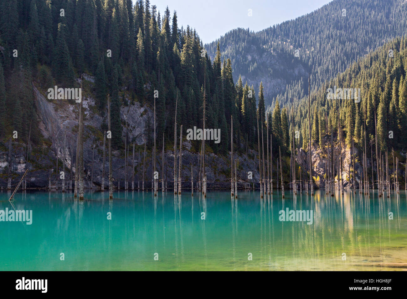 Lac Kaindy au Kazakhstan connu aussi sous le nom de lac Birch Tree ou dans l'eau de la forêt. Banque D'Images