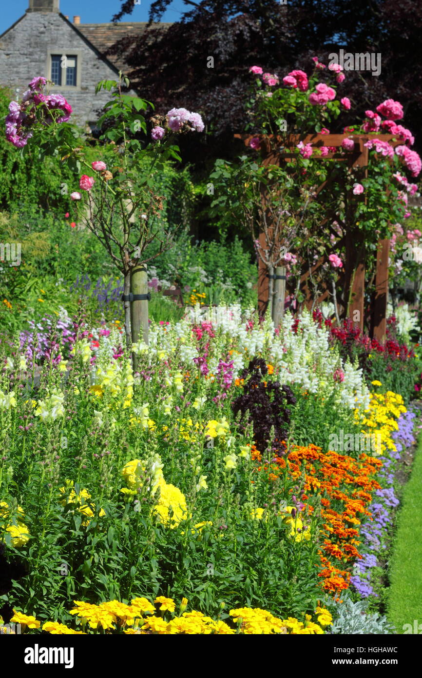 Fleur d'été montrant la frontière avec des hauteurs en couches tagètes, des gueules (antirrhinums) et de roses dans un jardin anglais Banque D'Images