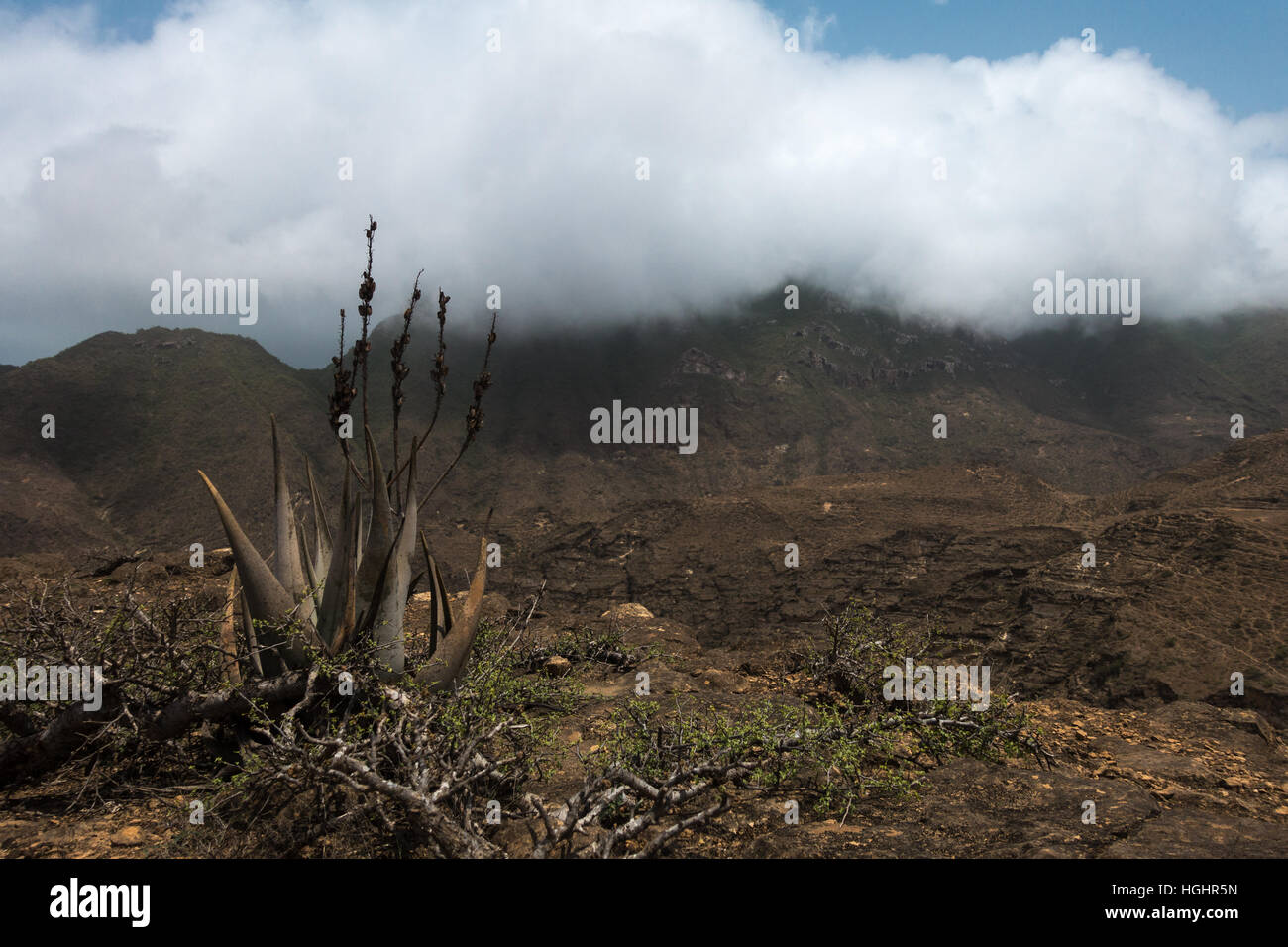 Une colline vue de côté de la vallée avec quelques plantes et faible poids lourds nuages sur pose les collines voisines Banque D'Images